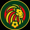 Football Senegal profile picture